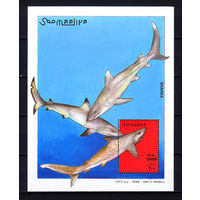 2003 Сомали. Акулы