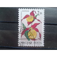 Венгрия 1987 орхидея