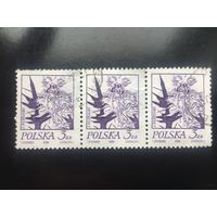 Польша 1974. Стандарт. Цветы (сцепка из 3 марок)