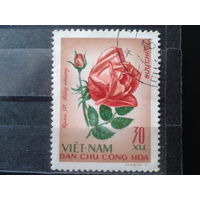 Вьетнам 1968 Роза