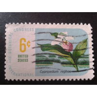 США 1969 цветок
