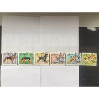 ГДР 1976. Собаки (серия из 6 марок)