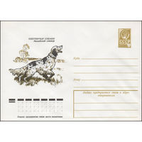 Художественный маркированный конверт СССР N 78-209 (07.04.1978) Охотничьи собаки  Английский сеттер