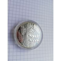 Америго Веспуччи 20 рублей серебро 2010
