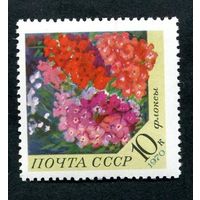 Марки СССР 1970 год.  Флоксы. Марка из серии. Чистая. 3945