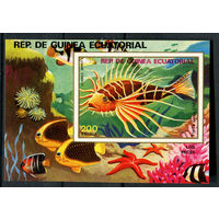 Экваториальная Гвинея - 1979 - Рыбки - [Mi. bl. 313] - 1 блок. MNH.