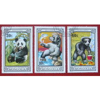 Монголия. Медведи. ( 3 марки ) 1974 года. 8-4.