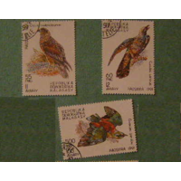 Мадагаскар 1991 фауна птицы 3 марок