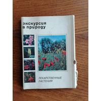 Набор открыток из СССР. Экскурсия в природу. Лекарственные растения.