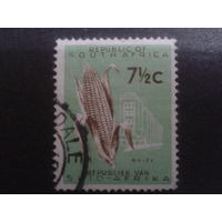 ЮАР 1961 стандарт, маис