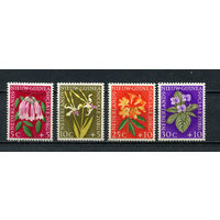 Нидерландская Новая Гвинея - 1959 - Цветы - [Mi. 57-60] - полная серия - 4 марки. MNH.  (Лот 96CZ)