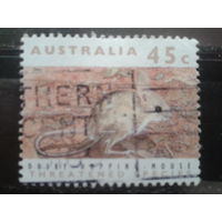 Австралия 1992 Тушканчик