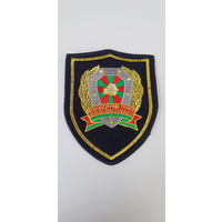 Шеврон молодежный отряд охраны правопорядка Беларусь
