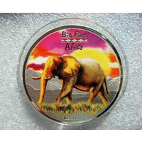 240 франков Конго 2008 Слон Большая пятёрка Африки Серебро 999
