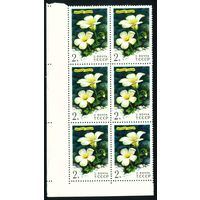 Цветы гор Сибири СССР 1977 год сцепка из 6-ти марок