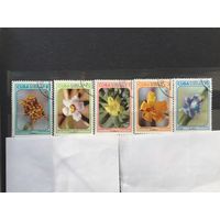 Куба 1974 год. Дикорастущие цветы (серия из 5 марок)