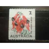 Австралия 1971 Стандарт, цветы