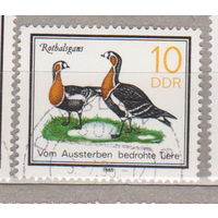 Птицы Фауна ГДР Германия 1985 год лот 1077