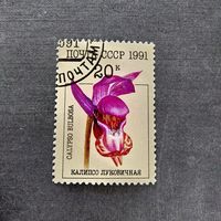 Марка СССР 1991 год Орхидеи