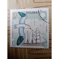 Польша 1987. Фауна. Fulmarus Glacialoides