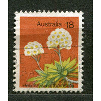 Флора. Австралия. 1975