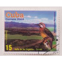 Куба 2003, птица