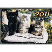 Календарик Котята 2011