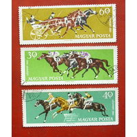 Венгрия Конный спорт. ( 3 марки ) 1961 года. 8-10.