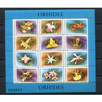 Румыния - 1988 - Цветы. Орхидеи - [Mi. bl. 249] - 1 блок. MNH.  (Лот 104CZ)