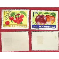Румыния 1963 Ягоды и фрукты