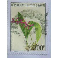 Кот-д Ивуар 1999 г. Цветы.