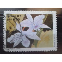 Бразилия 1987 Орхидеи