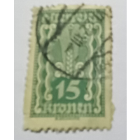 Австрия  1919г. Стандарт, 15 крон