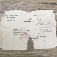 Документ.Гродно-подсолтыс. 1934г.