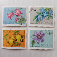 Польша 1984. Флора. Цветы