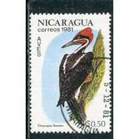 Никарагуа. Фауна. Птицы