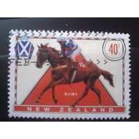 Новая Зеландия 1996 Скачки