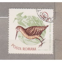 Птицы  Фауна Румыния 1965 год лот 1007
