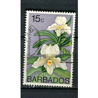 Барбадос - 1974/1979 - Орхидея 15С - [Mi.373X] - 1 марка. Гашеная.  (Лот 89Dh)