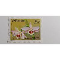 Вьетнам 1979. Орхидеи.
