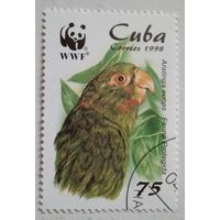 Куба 1998. Попугай