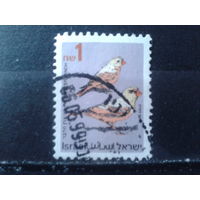 Израиль 1995 Стандарт, птицы 1,0 Михель-3,5 евро гаш