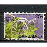 Барбадос - 1974/1979 - Орхидея 25С - [Mi.374X] - 1 марка. Гашеная.  (Лот 90Dh)