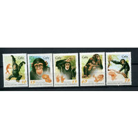 Куба - 1998 - Обезьяны - [Mi. 4106-4110] - полная серия - 5 марок. MNH.  (LOT F57)