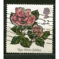 Роза "Серебряный юбилей". 1991. Великобритания