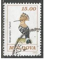 Молдова. Птицы. Удод. 1993г. Mi#61.