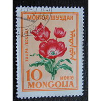 Монголия. Флора.