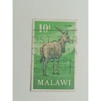 Малави 1971. Антилопа