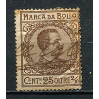 Королевство Италия - 1911 - Фискальная марка Виктор Эммануил III 25o 2/10c - 1 марка. Гашеная.  (LOT ES1)-T10P36