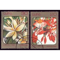 2 марки 1984 год Куба Флора Кариб 2841,2842